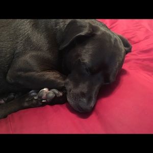 Meet your Posher, Ruth